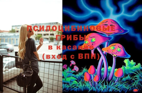 герыч Вязники